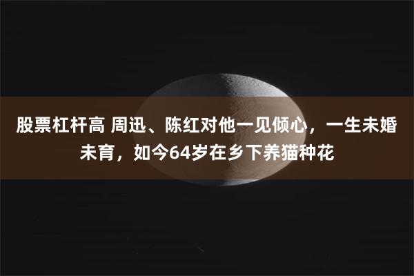 股票杠杆高 周迅、陈红对他一见倾心，一生未婚未育，如今64岁在乡下养猫种花