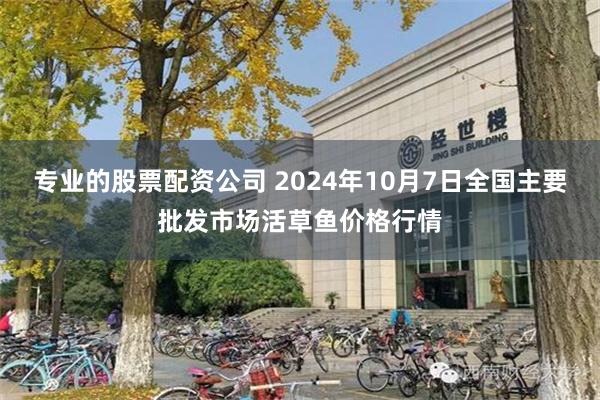 专业的股票配资公司 2024年10月7日全国主要批发市场活草鱼价格行情