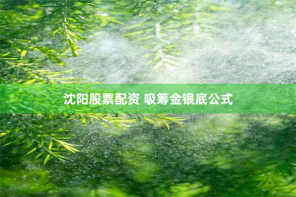 沈阳股票配资 吸筹金银底公式