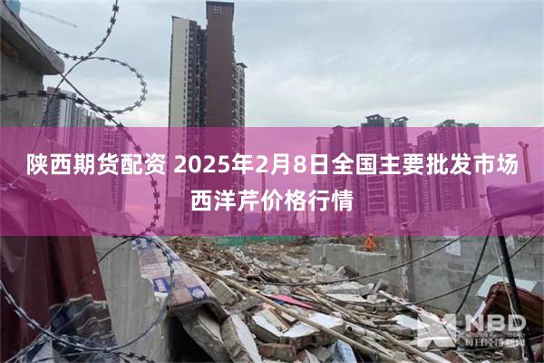 陕西期货配资 2025年2月8日全国主要批发市场西洋芹价格行情